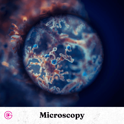 Image depicting a view through the microscope